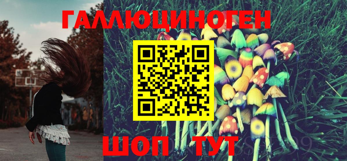 Галлюциногенные грибы Psilocybine cubensis Грязи